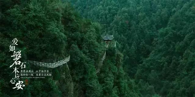 墨西哥首都恢复斗牛活动 遭反对者强烈抗议